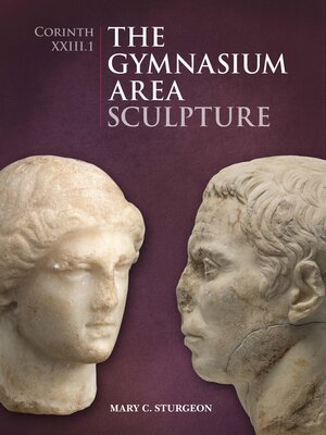 cover image of The Gymnasium Area